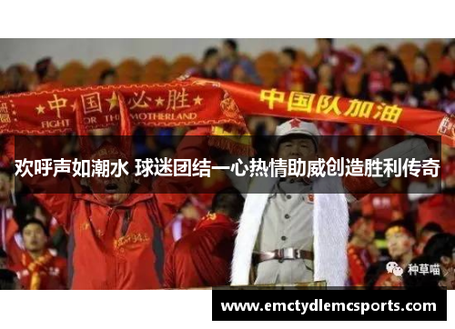 欢呼声如潮水 球迷团结一心热情助威创造胜利传奇