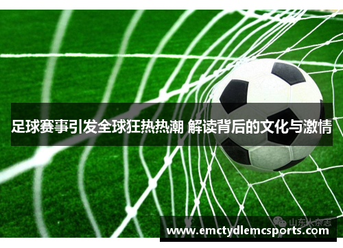 足球赛事引发全球狂热热潮 解读背后的文化与激情