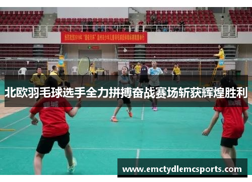 北欧羽毛球选手全力拼搏奋战赛场斩获辉煌胜利