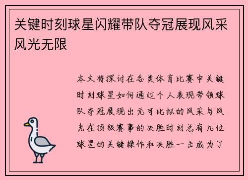 关键时刻球星闪耀带队夺冠展现风采风光无限