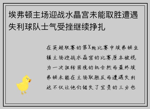 埃弗顿主场迎战水晶宫未能取胜遭遇失利球队士气受挫继续挣扎