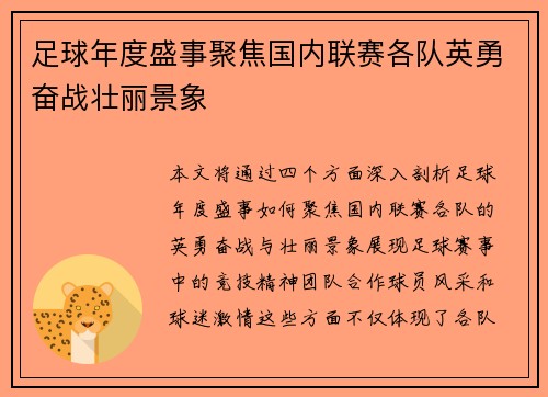 足球年度盛事聚焦国内联赛各队英勇奋战壮丽景象
